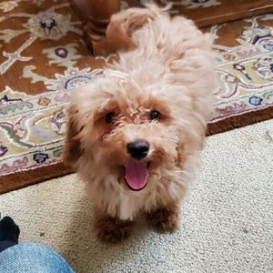 Meet your Posher, Huyen